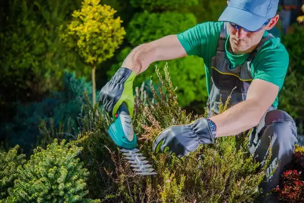 landscaping services Mantua